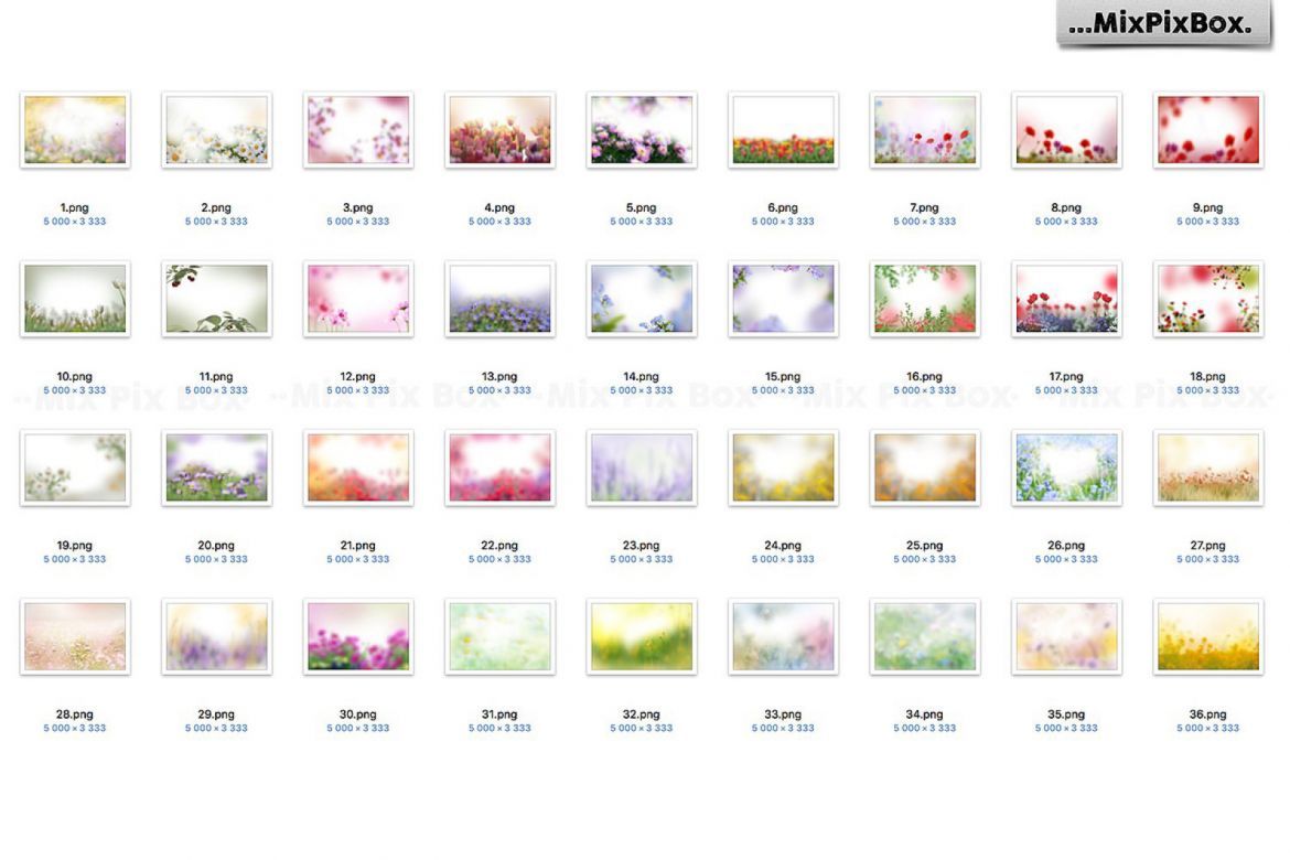 Summer Flowers Painted Overlays alternate