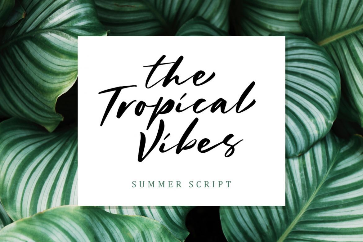 Charlotta - Handwritten Script - view 2