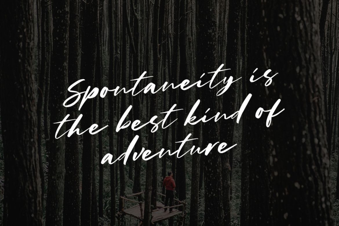 Charlotta - Handwritten Script - view 3