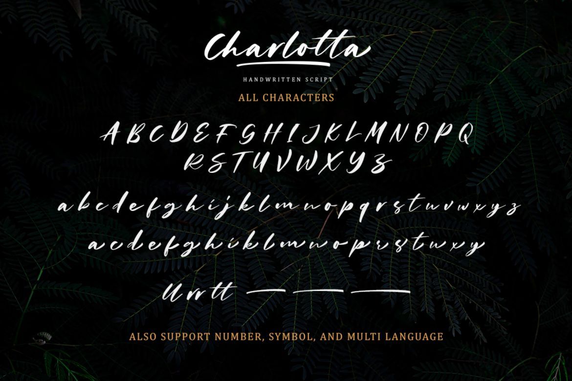 Charlotta - Handwritten Script - view 10