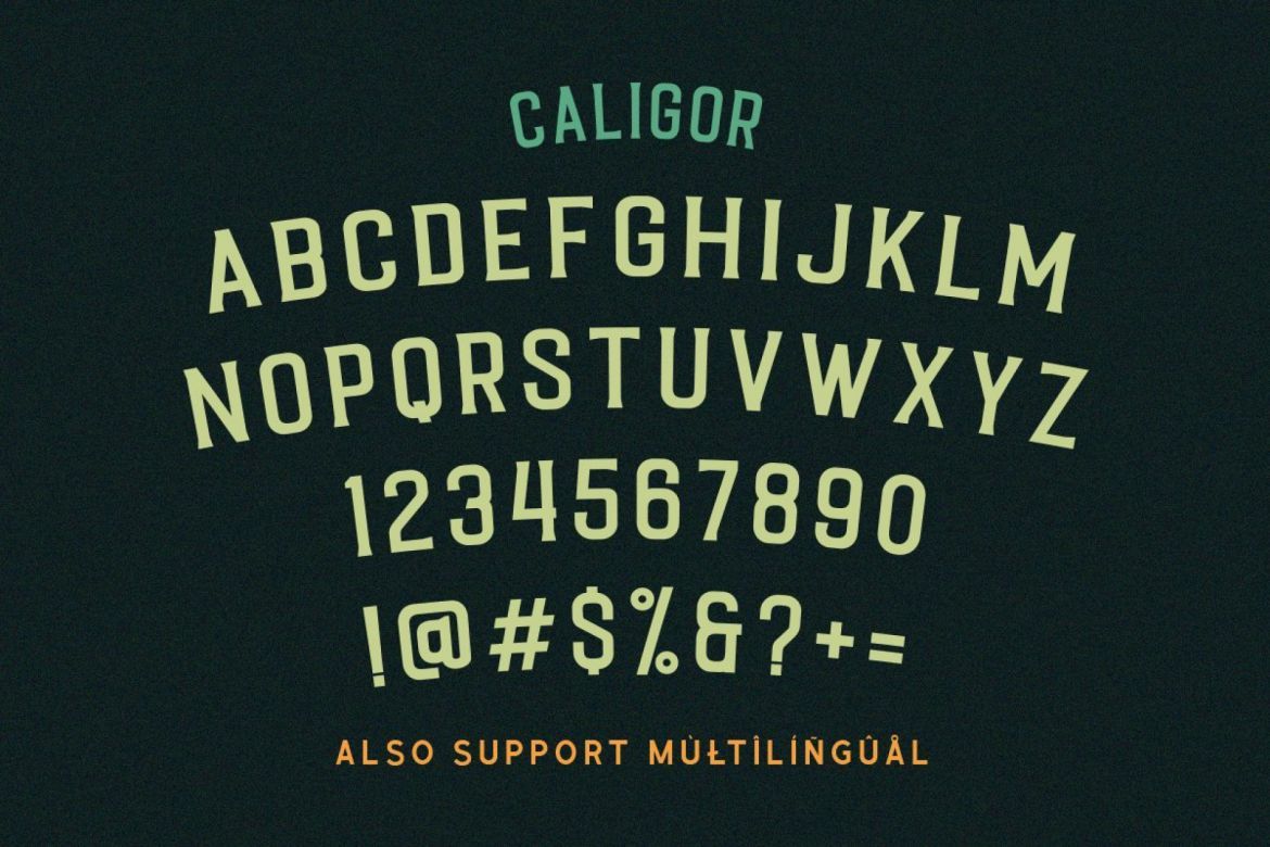 CALIGOR - Display Typeface - view 5
