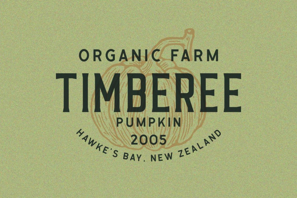 CALIGOR - Display Typeface - view 8