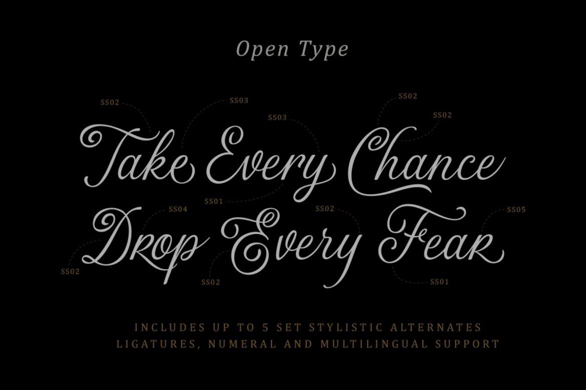 The Majority Script - view 9