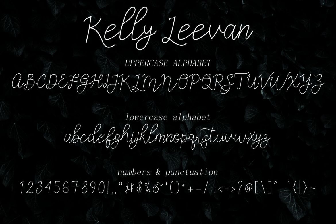 Kelly Leevan Handwritten Font - view 3