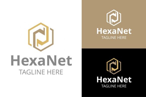 Hexa Net Logo - view 1