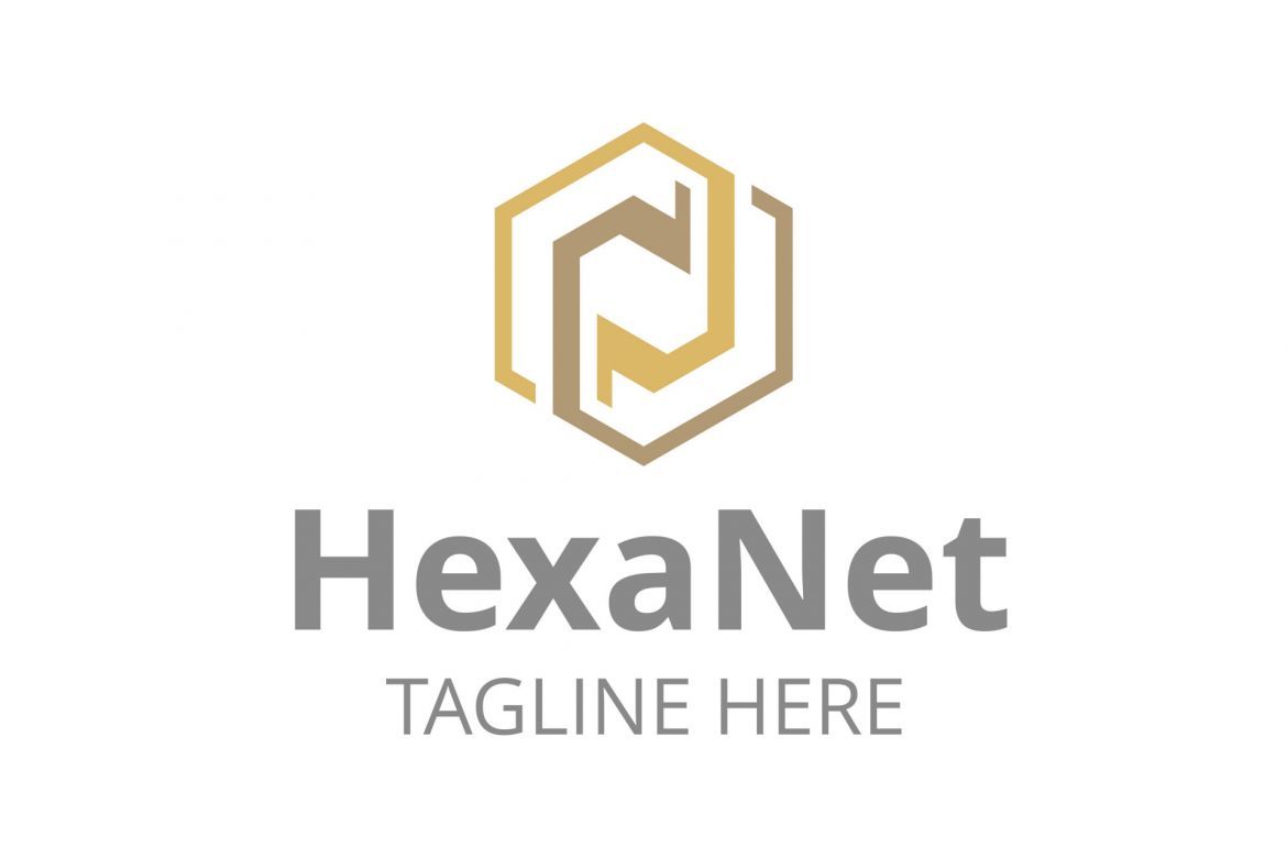 Hexa Net Logo - view 2