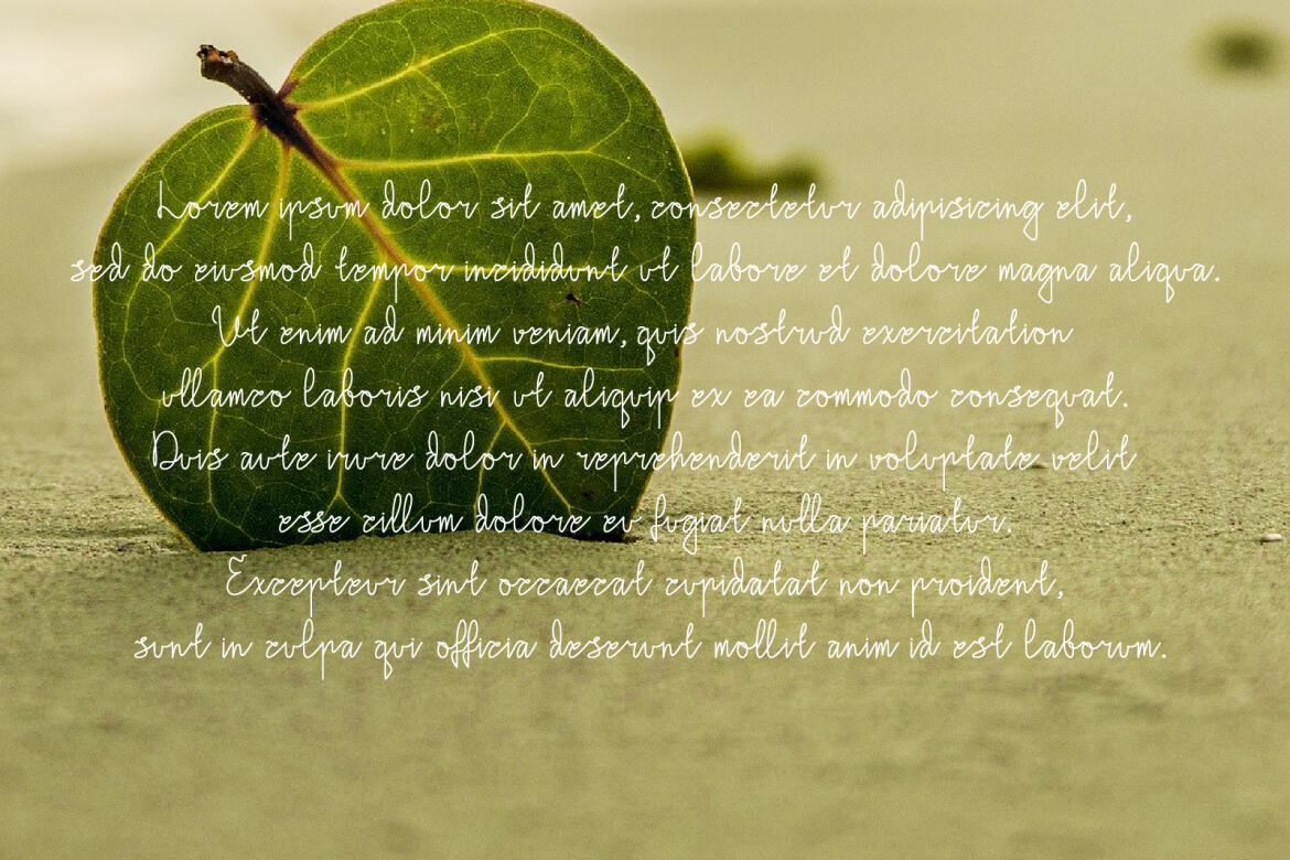 Utthara - Free Monoline Script - view 6