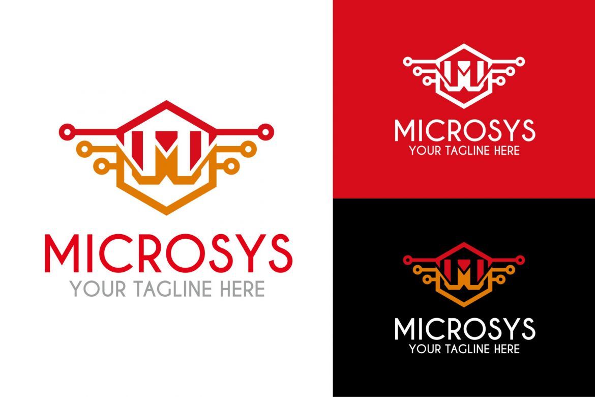 Micro System Logo - view 2