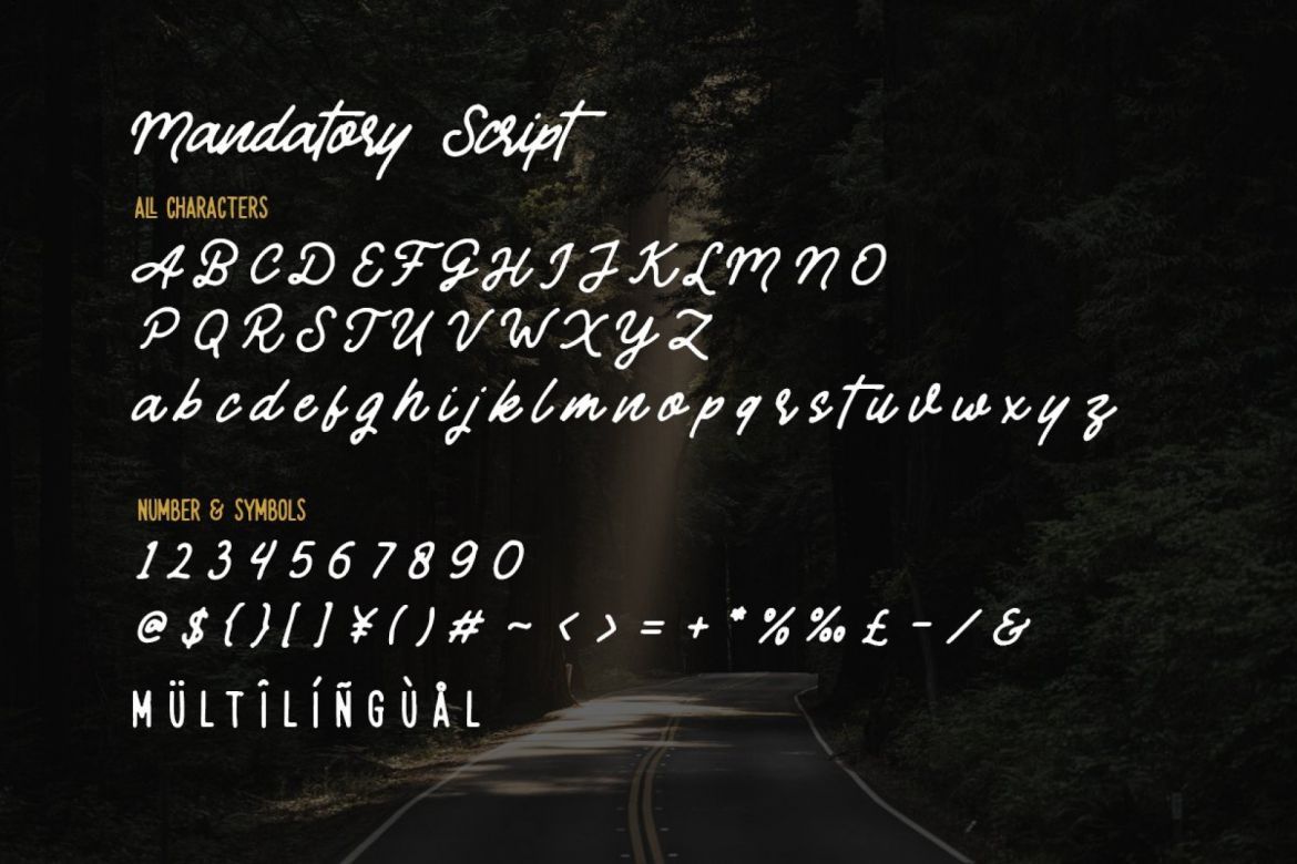 Mandatory Font Duo - view 8