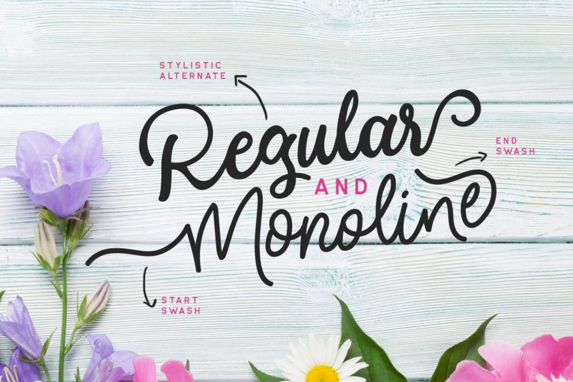 Modesta Script - view 2