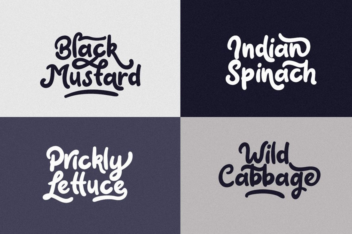 Claytonia Funny Script - view 4