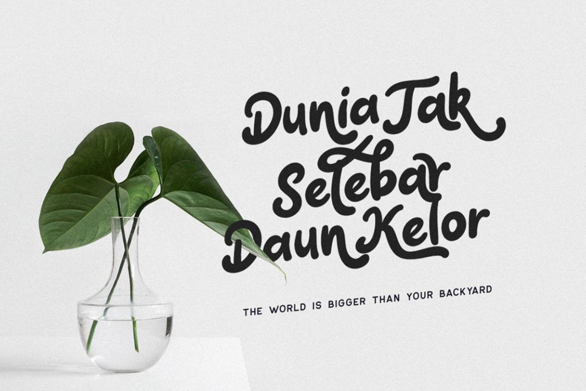 Claytonia Funny Script - view 8