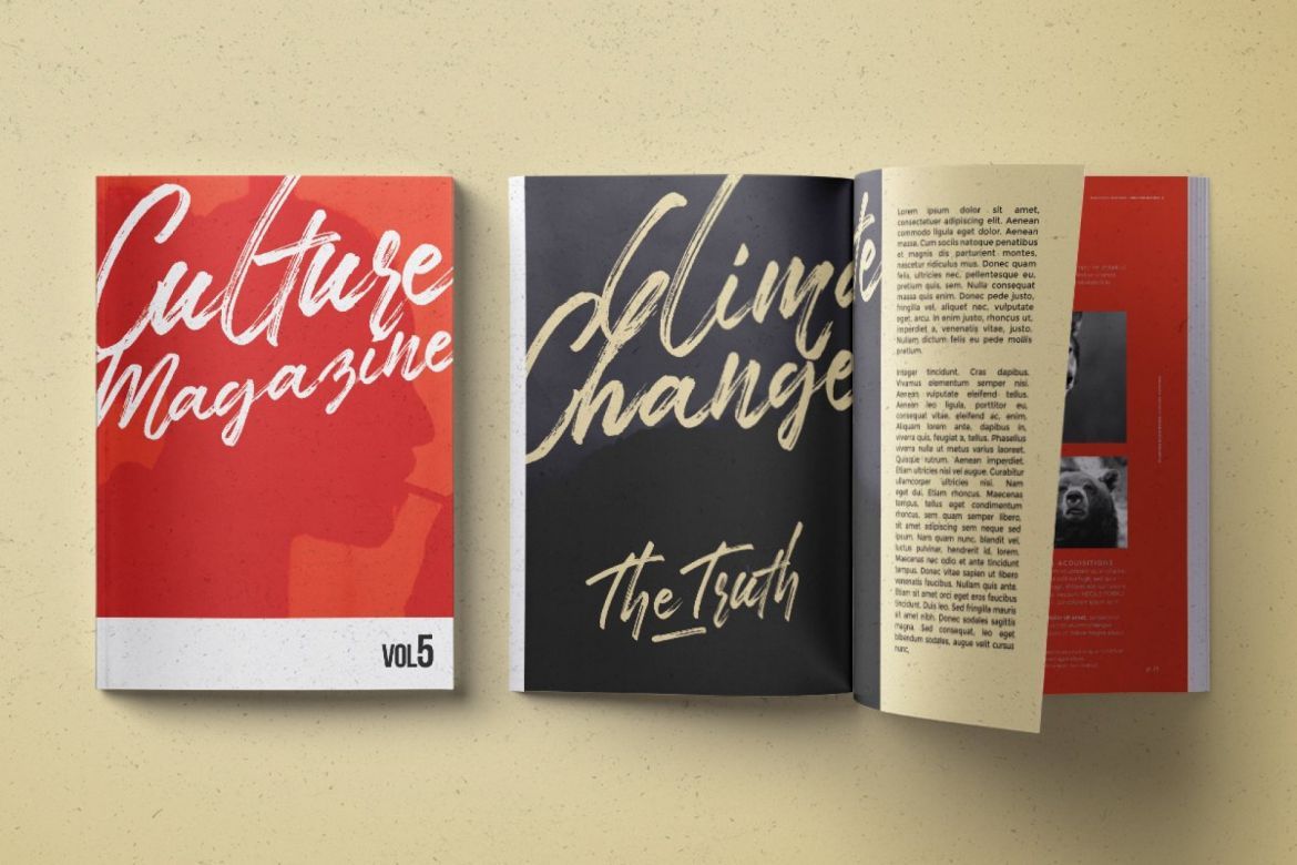 TakeEasy Brush Script - view 9