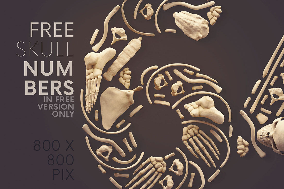Skull Numbers - Free 3D Lettering alternate