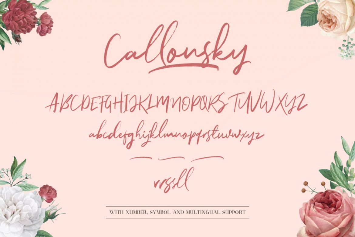 Callonsky Script - view 9