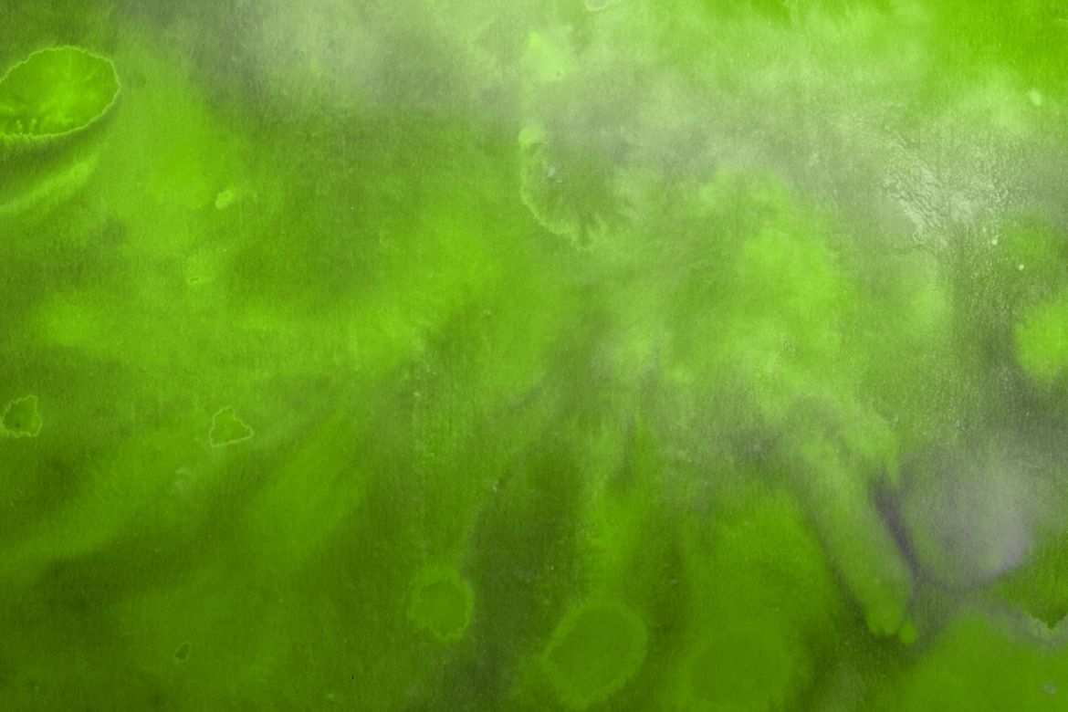 Monochromatic Watercolor Backgrounds - view 8