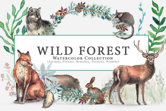 Wild Forest Watercolor Collection