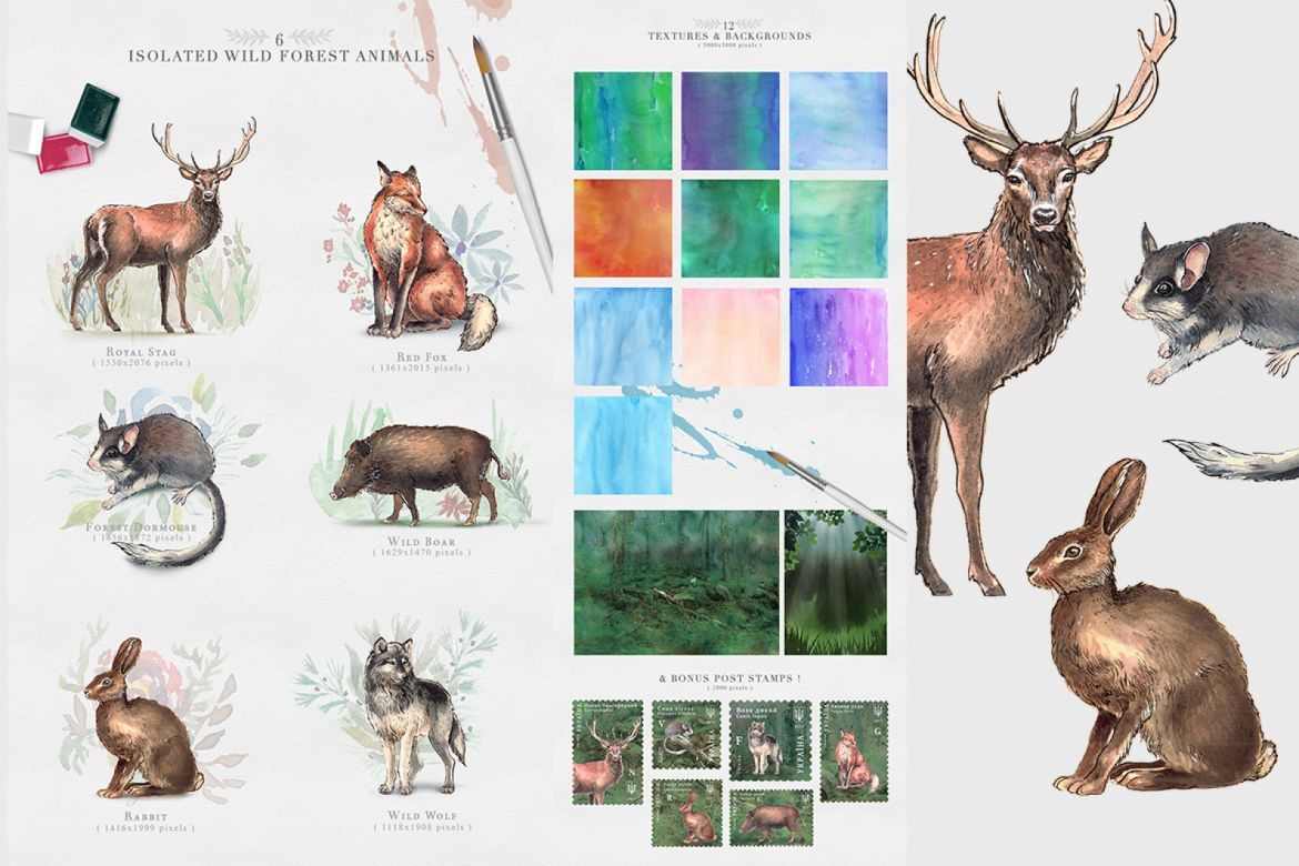 Wild Forest Watercolor Collection alternate