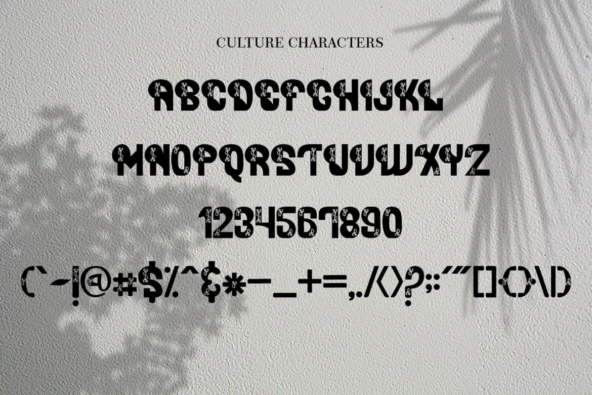 Culture Font Duo - view 4