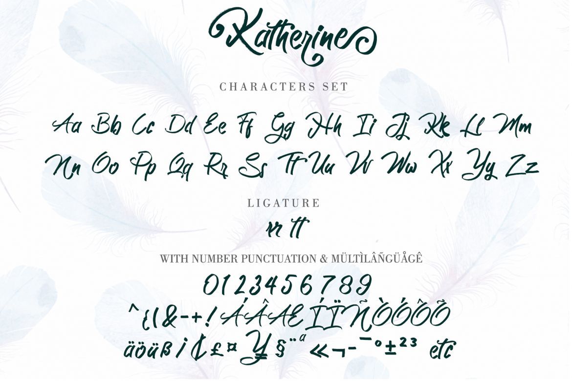 Katherine Brush Script - view 3