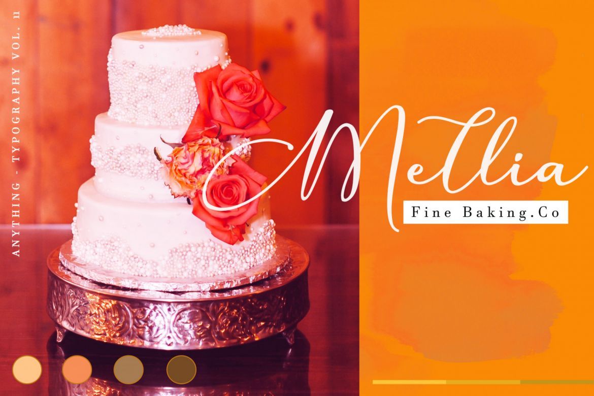 Anything Script - view 14