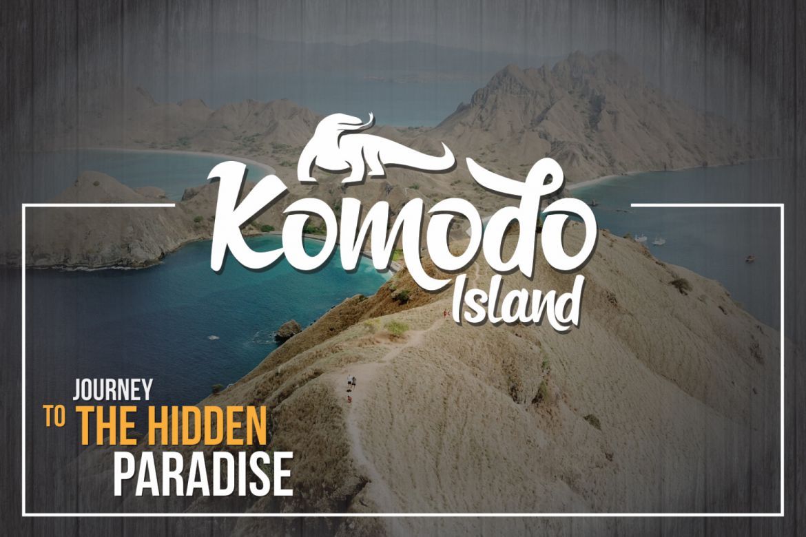 Frederico Bold Script - view 9