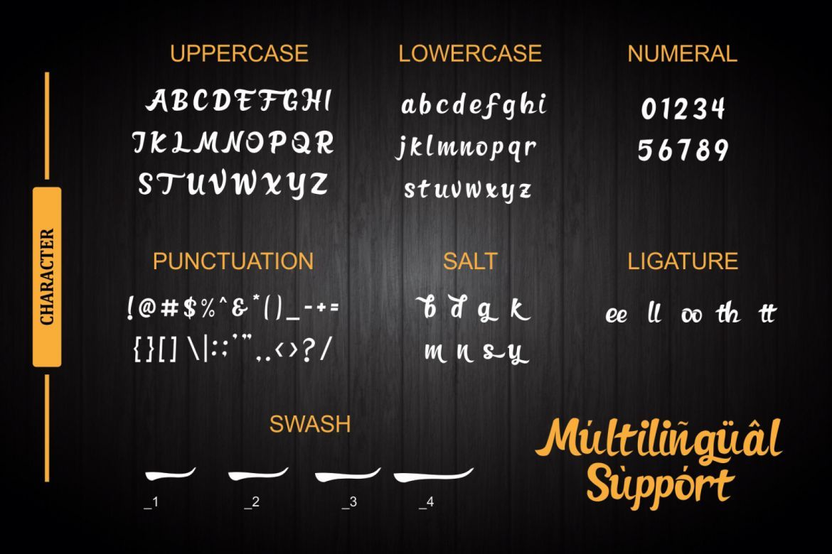 Frederico Bold Script - view 10