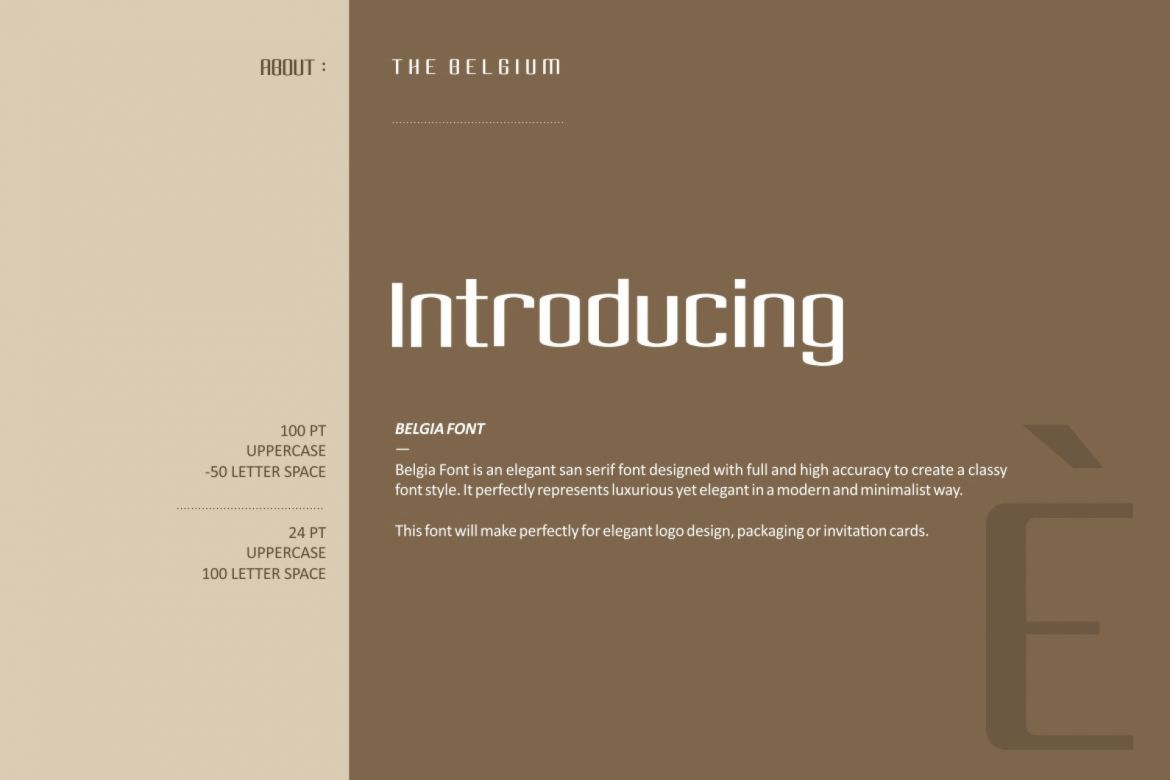 Belgia Sans Serif - view 4