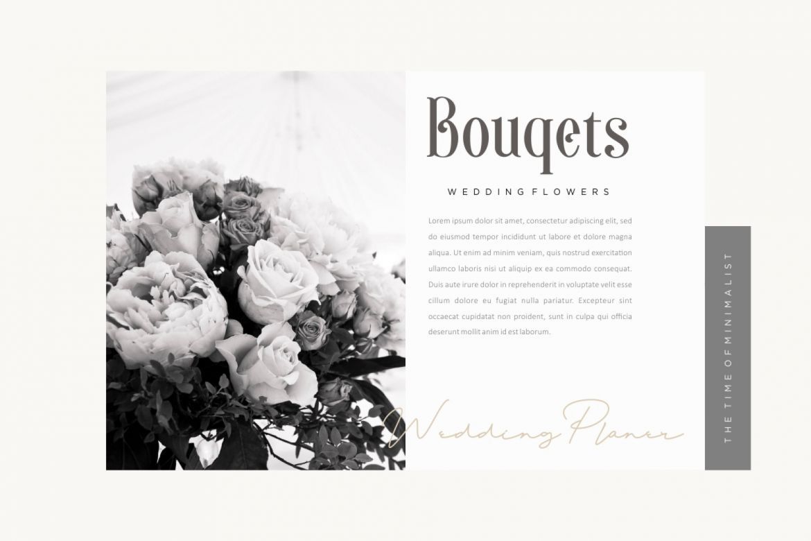 Sonia Serif Font - view 4