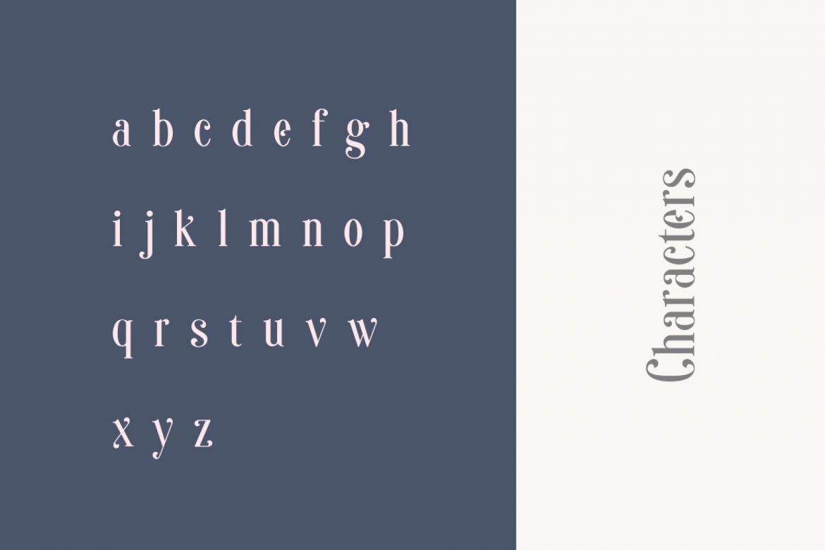 Sonia Serif Font - view 10