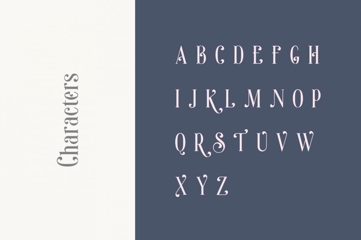 Sonia Serif Font - view 11
