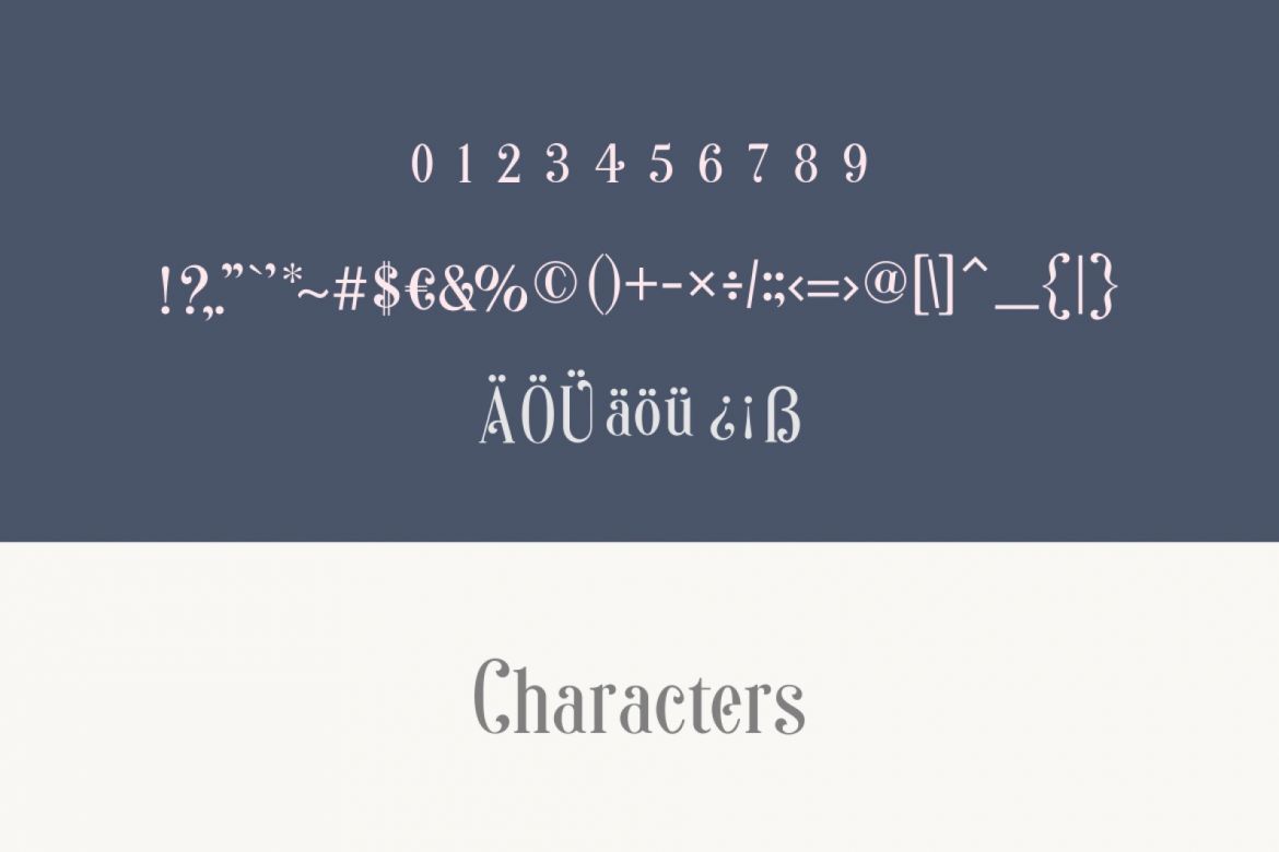 Sonia Serif Font - view 12