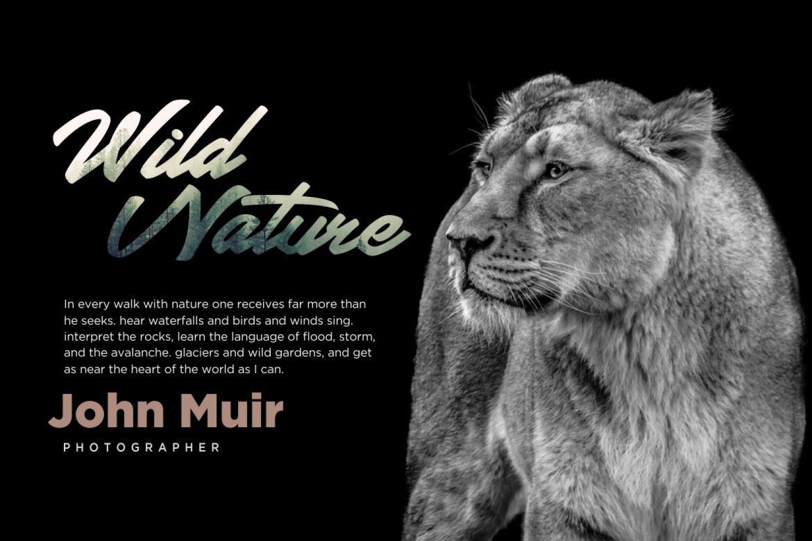 Wrongler Script - view 4