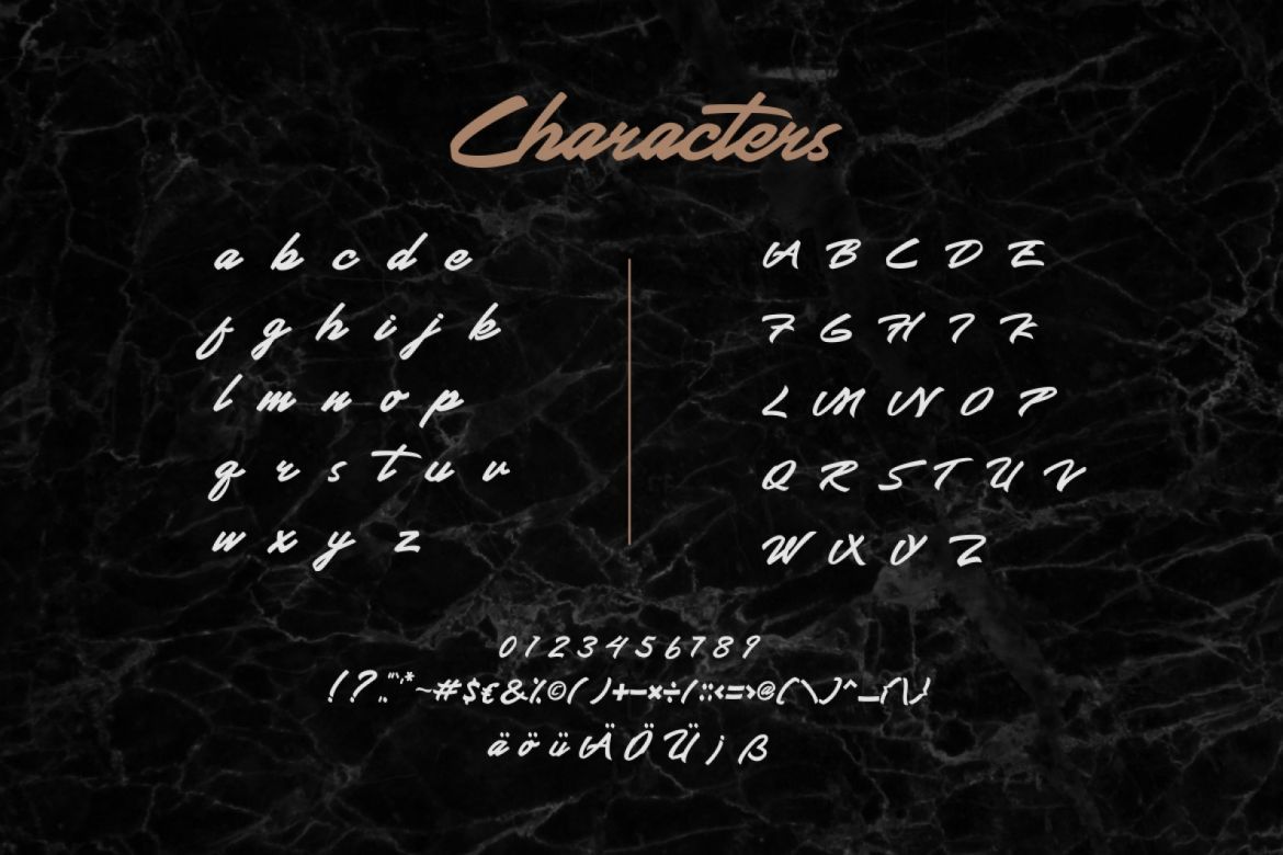 Wrongler Script - view 11