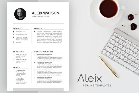 Aleix Resume Templates