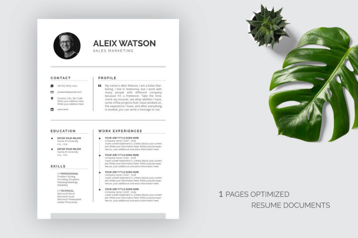 Aleix Resume Templates alternate