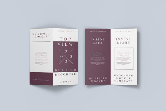 Top View DL Bifold brochure - Free Mockup