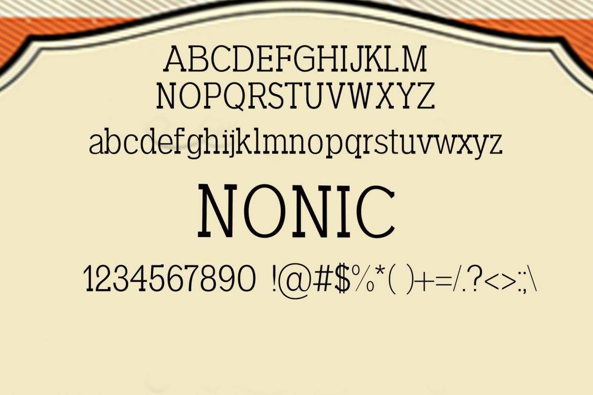 Nonic Serif Font - view 2
