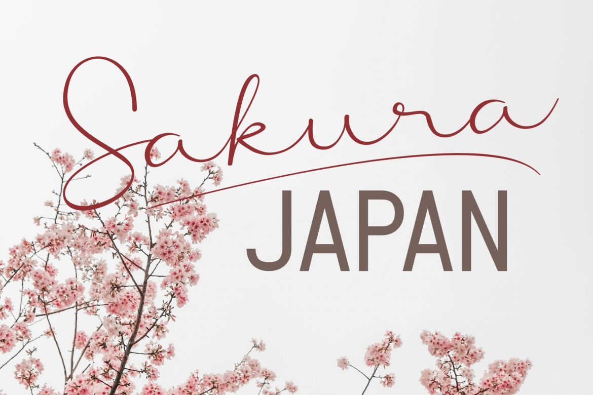 Grand Aprilliant -  Font Duo - view 2