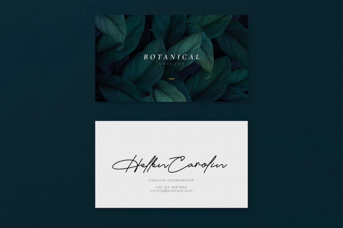 Austin Capittal Script - view 5