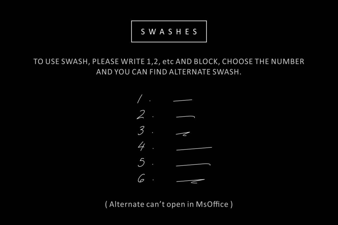 Austin Capittal Script - view 10