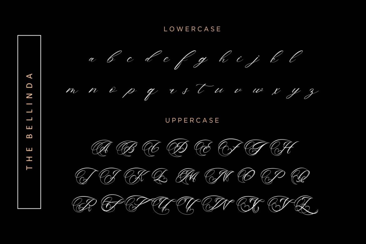 The Bellinda Script - view 8