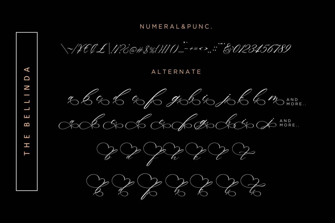 The Bellinda Script - view 9