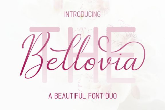 The Bellovia