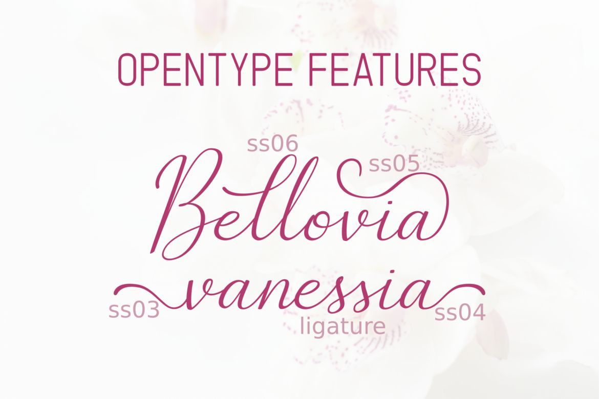 The Bellovia alternate