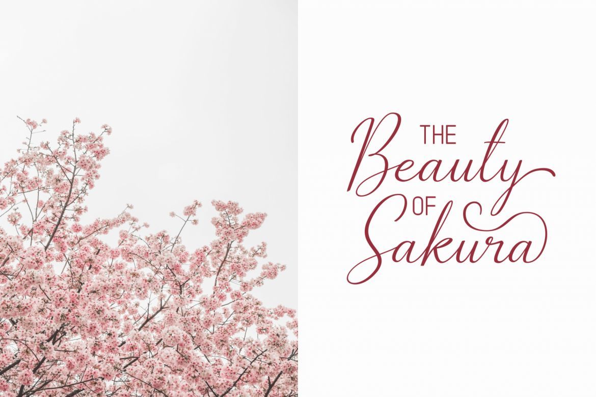 The Bellovia - view 4