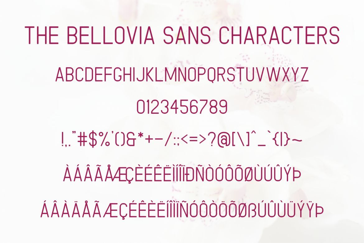 The Bellovia - view 12