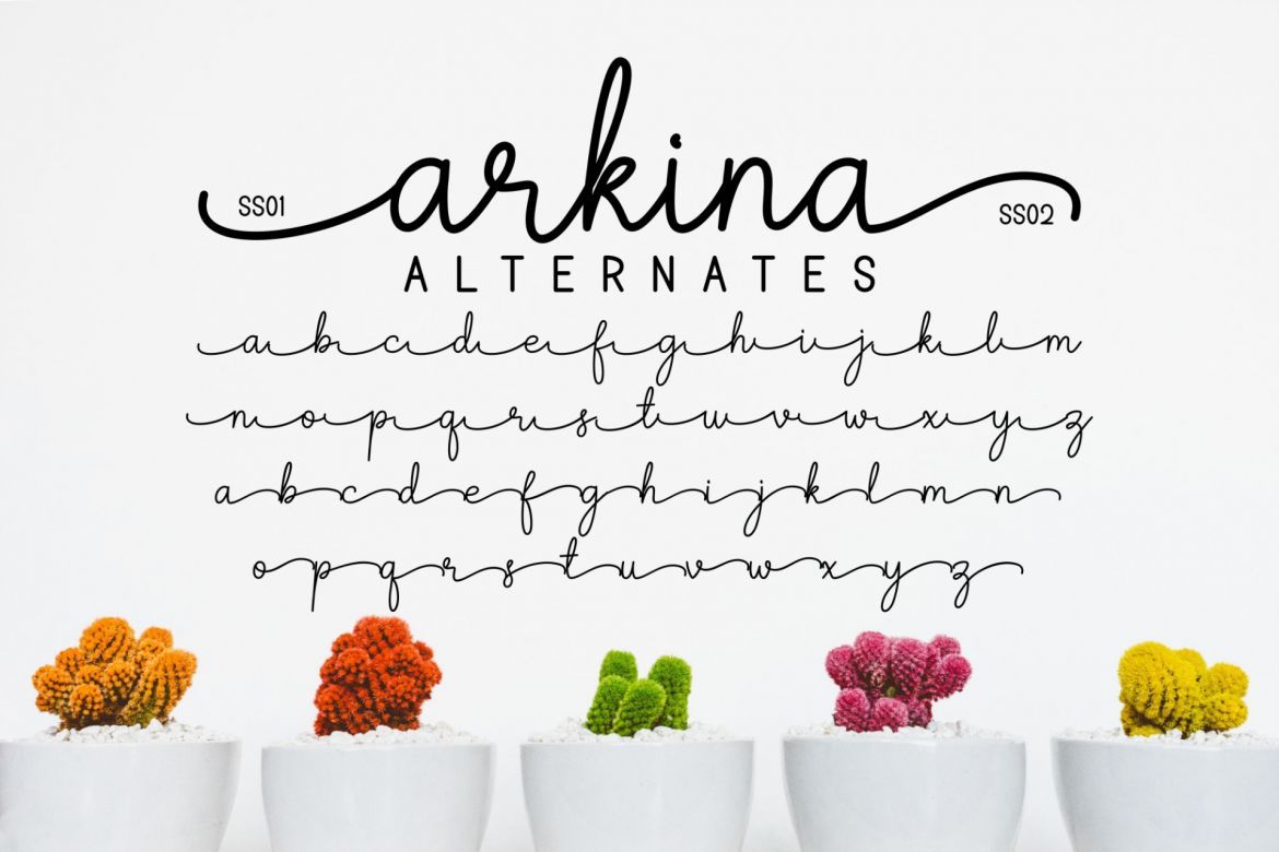 Arkina Font Duo - view 8