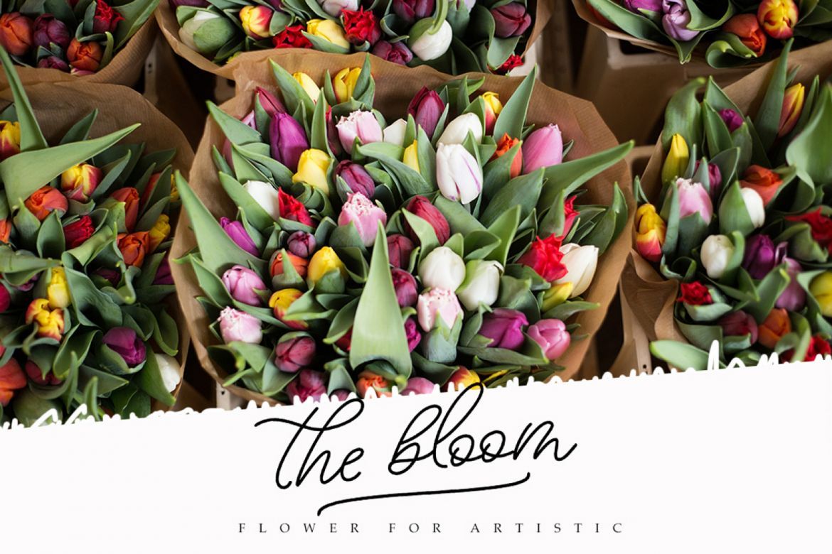 Beloved script - view 5