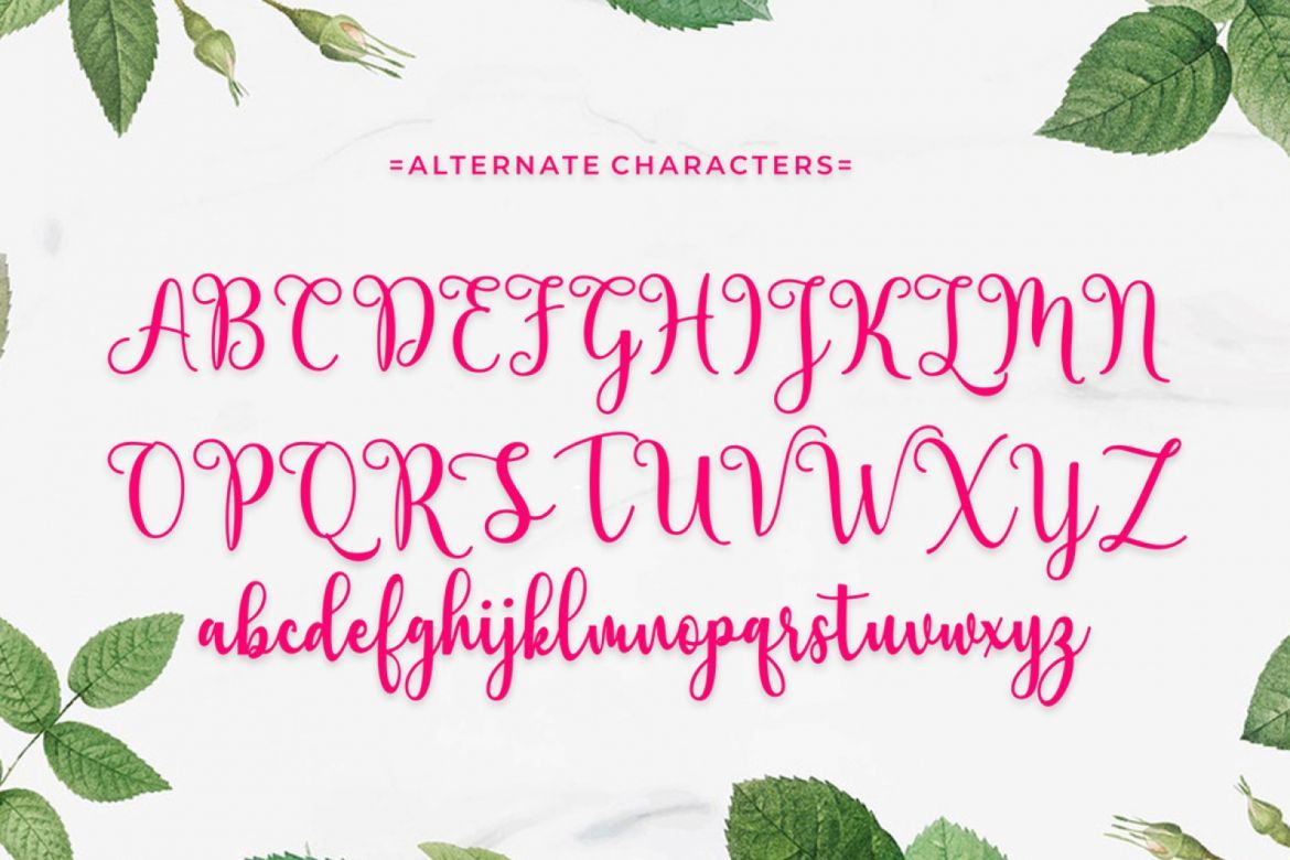 Berlin Script - view 3